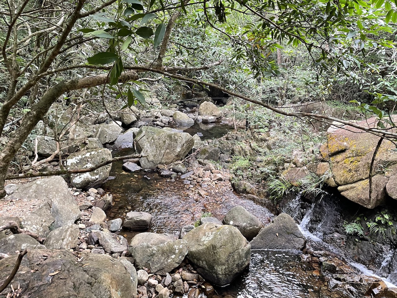 The Tai Po Kau river to be seen in all of the walks